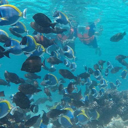 Club Blu Hotel Hulhumale Luaran gambar