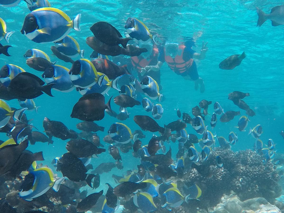 Club Blu Hotel Hulhumale Luaran gambar